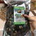 剪角羊肚菌好货肉厚味道浓厚鲜美250g
