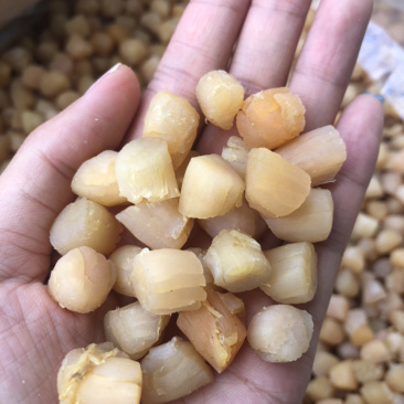 300头大连瑶柱干贝足干瑶柱