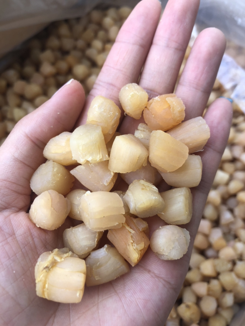 300头大连瑶柱干贝足干瑶柱