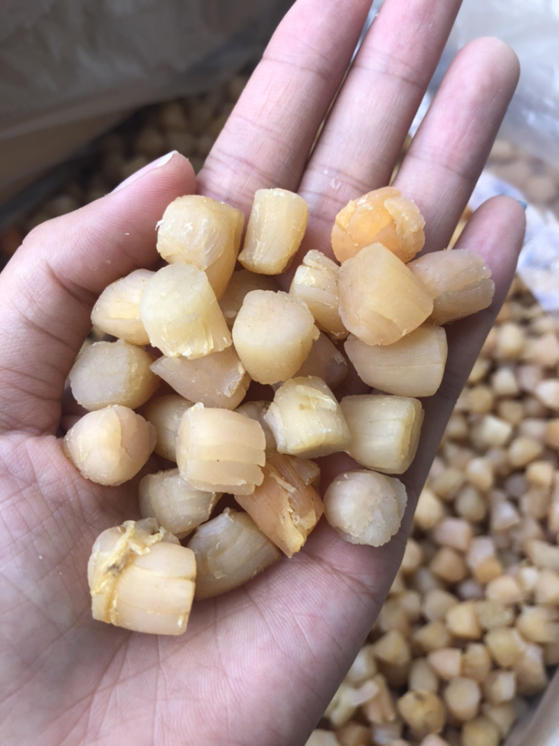 300头大连瑶柱干贝足干瑶柱