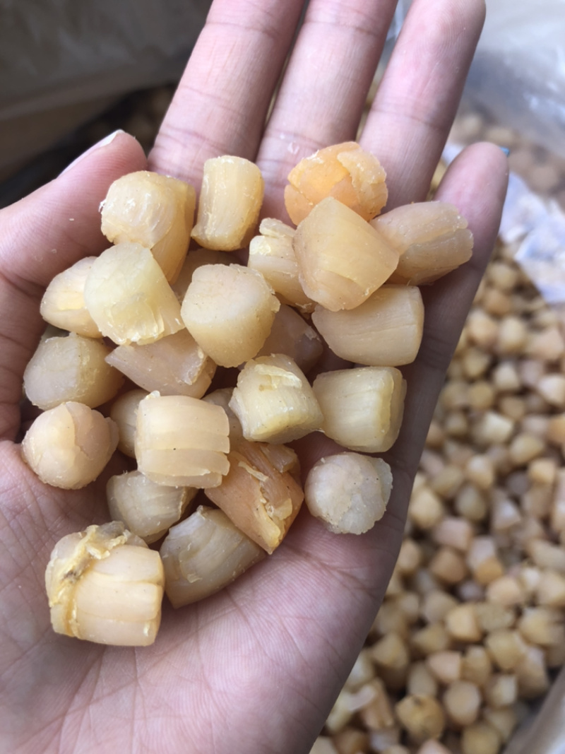 300头大连瑶柱干贝足干瑶柱