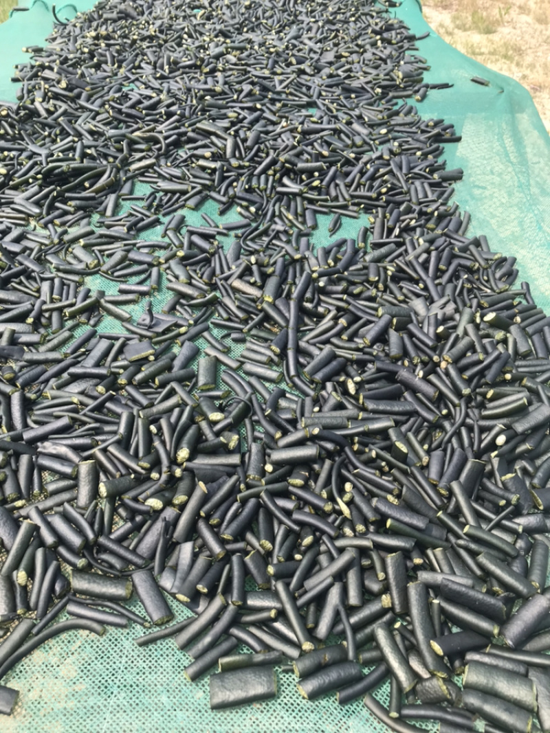 海茸