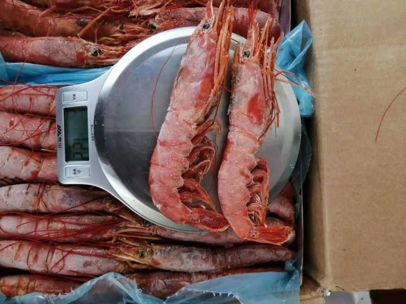 新鲜冷冻阿根廷进口红虾牡丹虾大红虾特大L1号刺身冻虾4斤