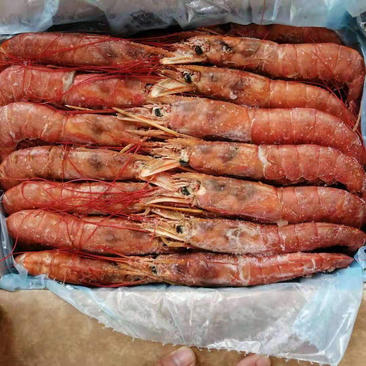 新鲜冷冻阿根廷进口红虾牡丹虾大红虾特大L1号刺身冻虾4斤
