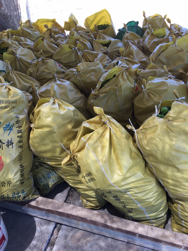 螺丝椒