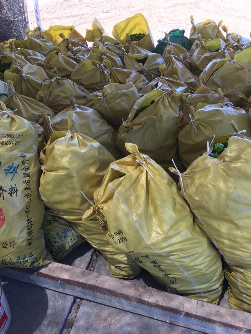 螺丝椒