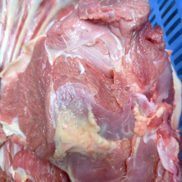 深圳鹿肉寻求代理加盟可送货