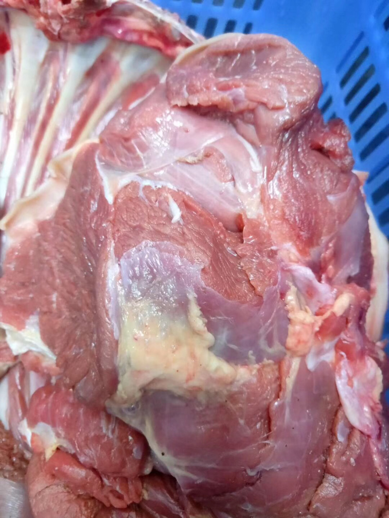 深圳鹿肉寻求代理加盟可送货