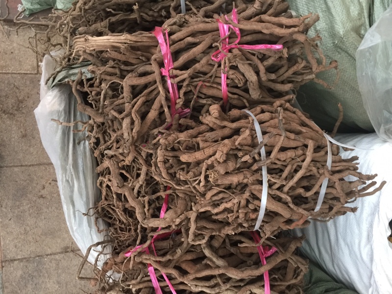 胡椒根今年新货大货批发楜椒根扎把，无硫黄