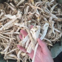 桔梗无硫专业药材批发