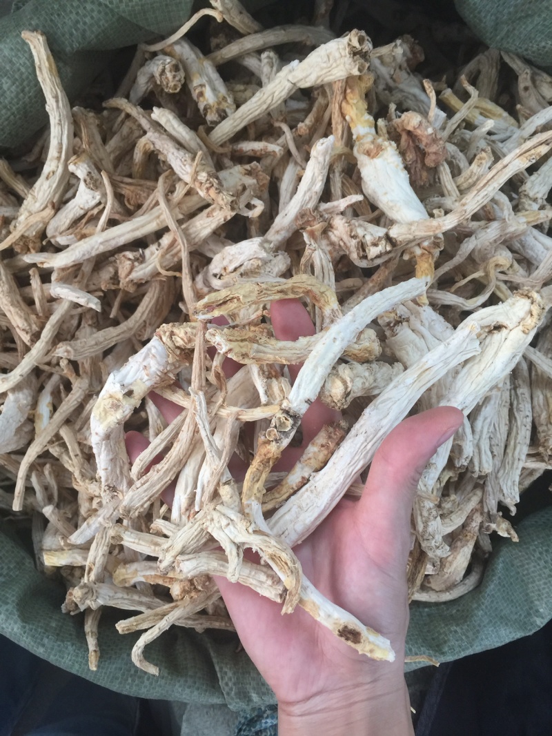 桔梗无硫专业药材批发