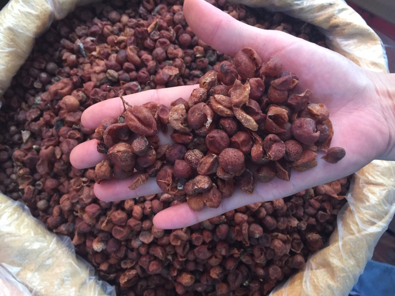 山黄皮新货足干中药香料用