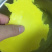 野生蜂蜡