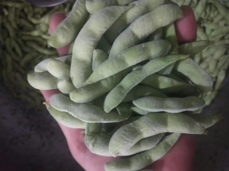翠绿宝