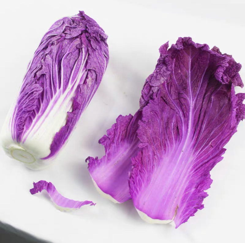 【有好货】紫色大白菜千宝菜种子