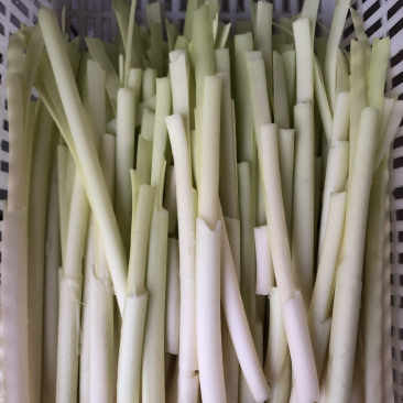 微山湖蒲菜大量供应！