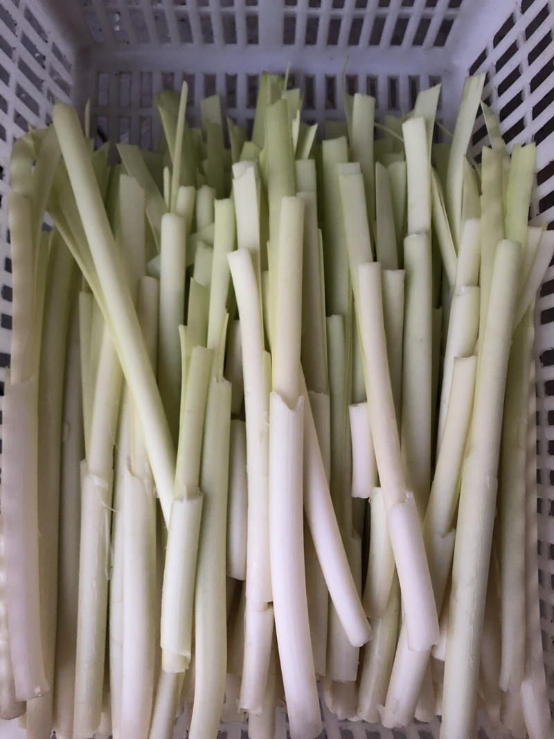 微山湖蒲菜大量供应！