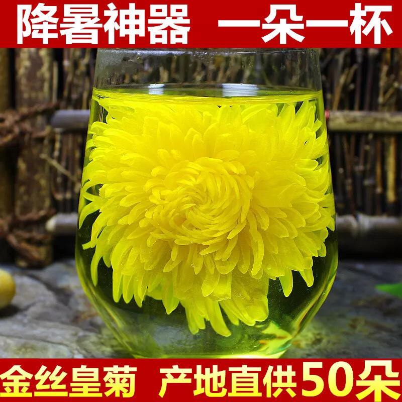 金丝皇菊特级菊花茶一朵一杯罐装50朵