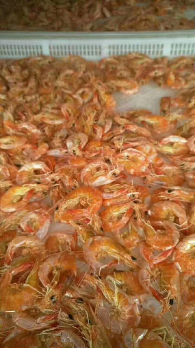 【热卖中】干虾烤虾供应，活虾加工，工厂直供，资质齐全！