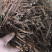 北柴胡籽.2020新产-出芽率98%-【包邮】