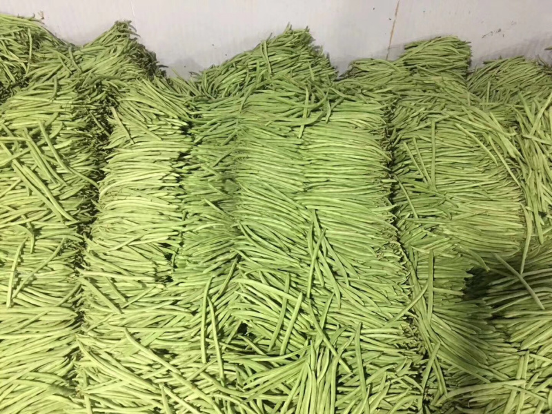 云南保山小金豆上市了需要的联系10