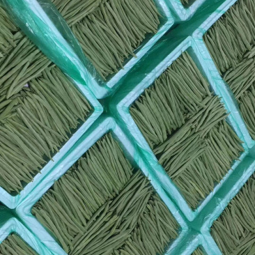 云南保山小金豆上市了需要的联系10