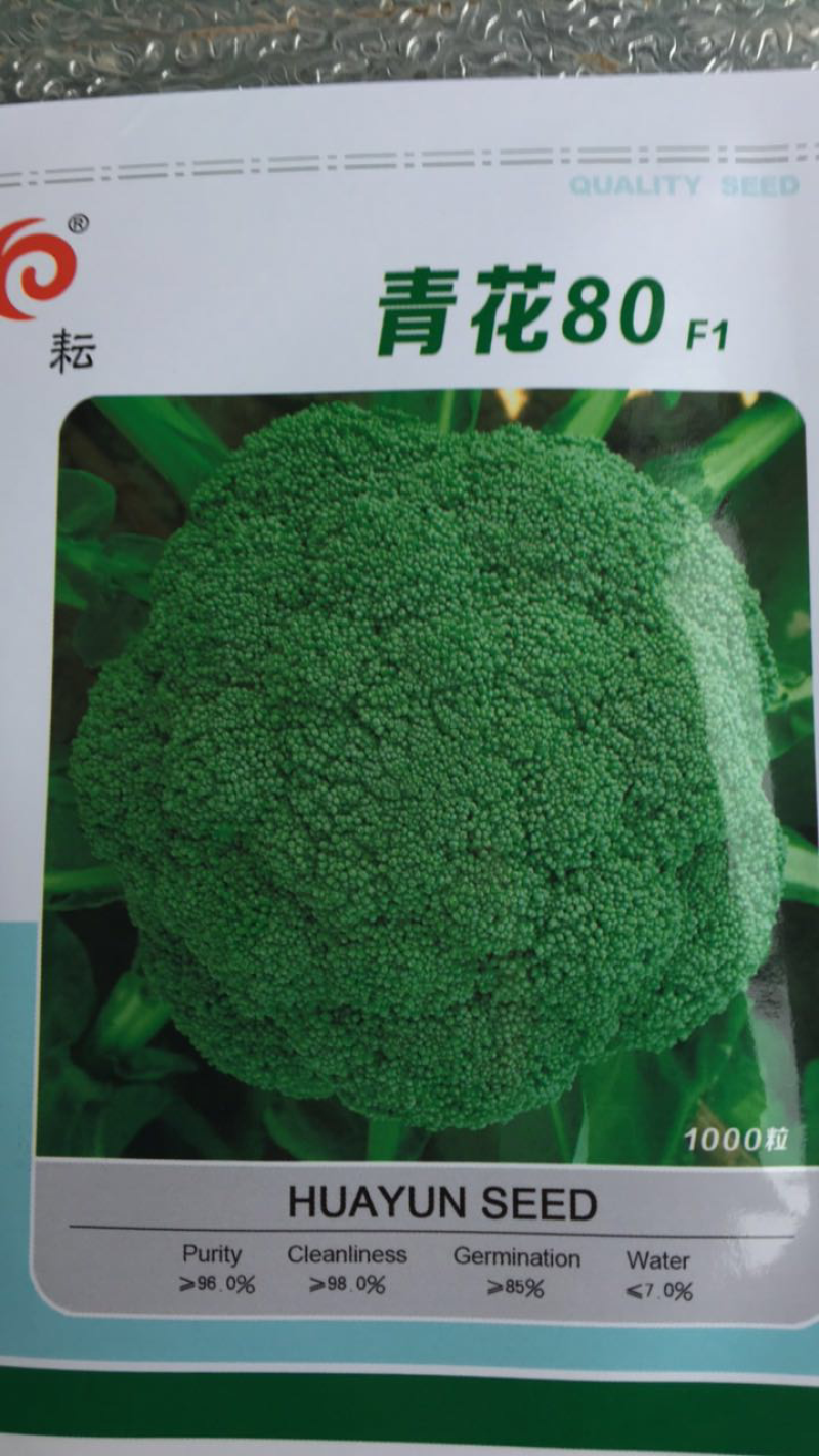 西南花种子，出花整齐，个儿大，受市场欢迎！