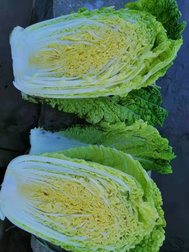 极品娃娃菜，价格合理，质量没的说