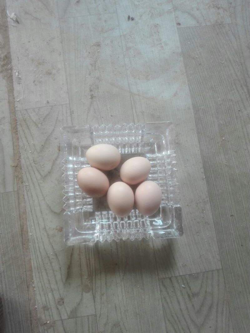 土鸡蛋食用50g以下