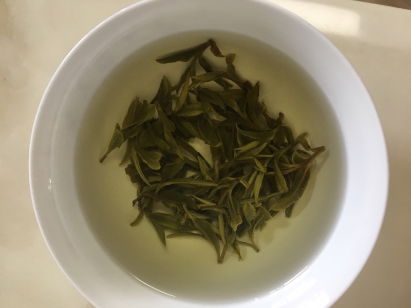 2019新款年新茶大岚高山云雾茶叶四明龙尖余姚瀑布仙茗