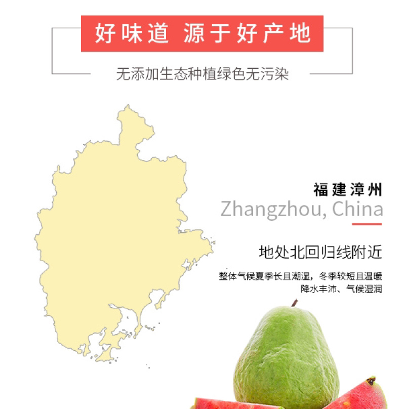 红心芭乐当季新鲜番石榴特产现摘热带红肉水果应季2个试吃装