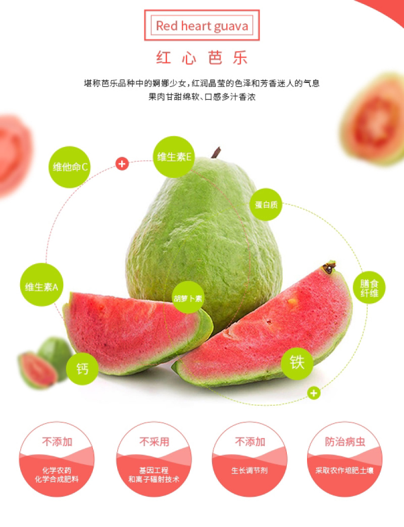 红心芭乐当季新鲜番石榴特产现摘热带红肉水果应季2个试吃装