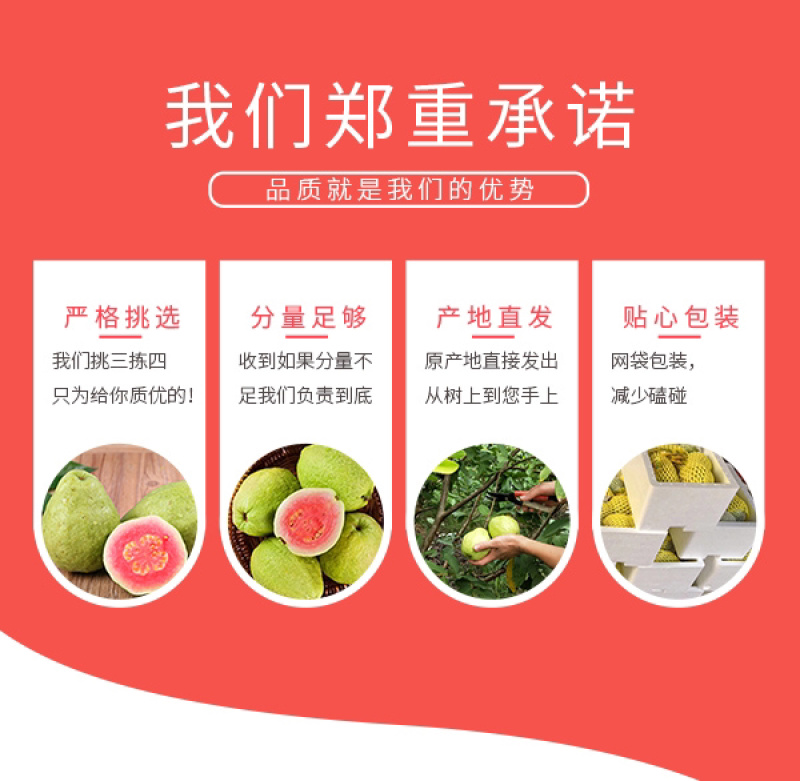 红心芭乐当季新鲜番石榴特产现摘热带红肉水果应季2个试吃装