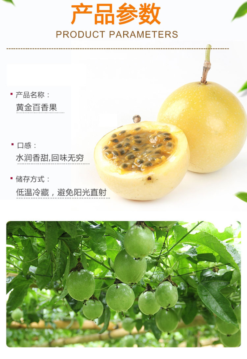 黄金百香果福建新鲜西番莲鸡蛋中大果5斤包邮送开果器