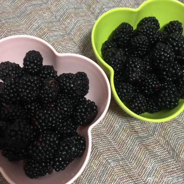 黑莓覆盆子