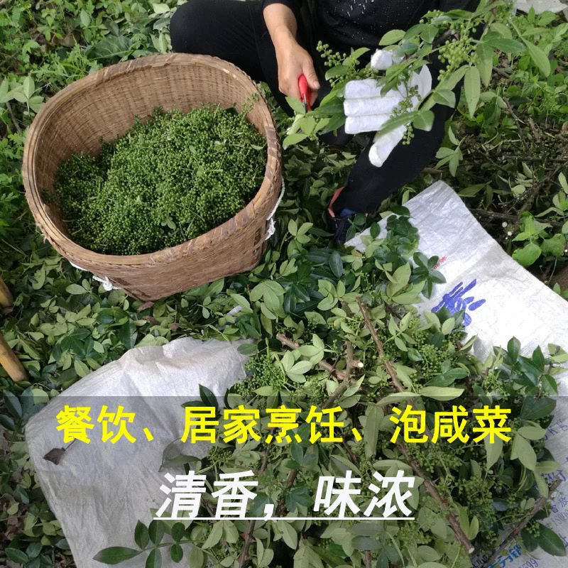 新鲜花椒青椒