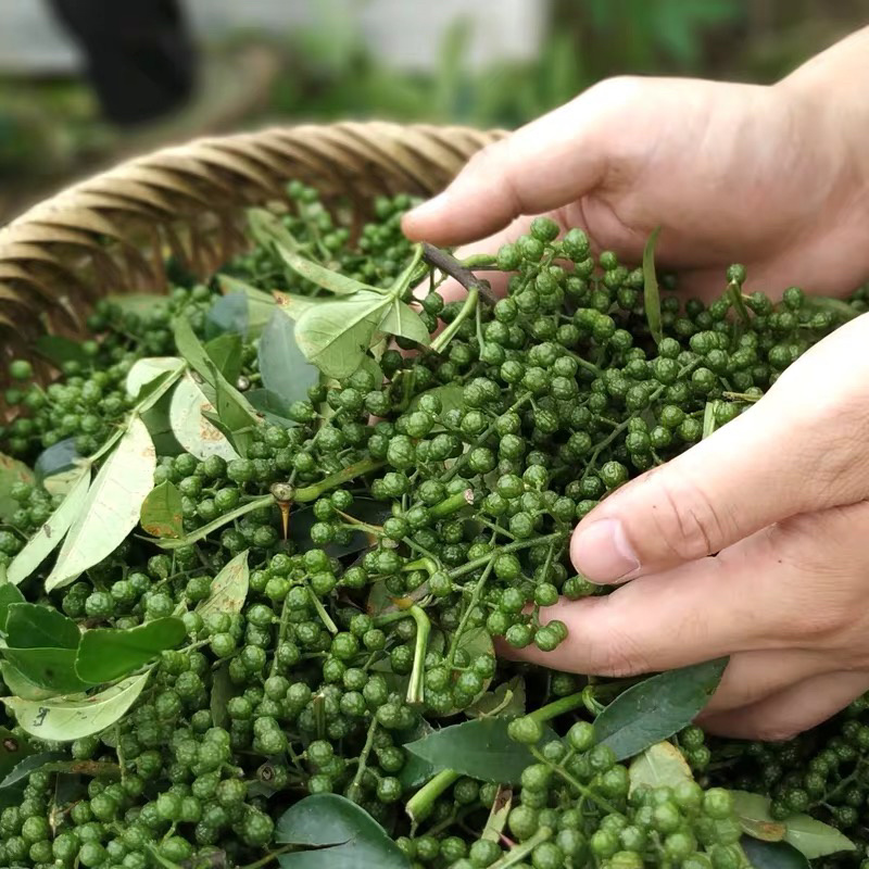 新鲜花椒青椒