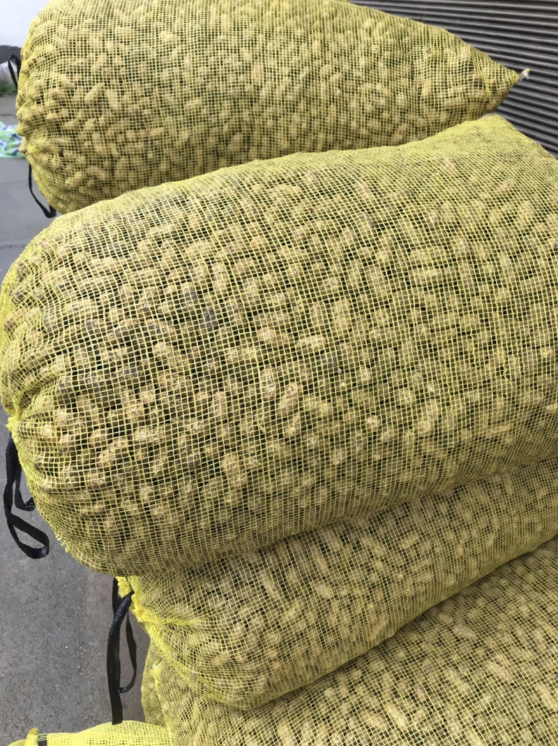 花育花生花育系列鲜货带壳花生大量上市可对接商超市场
