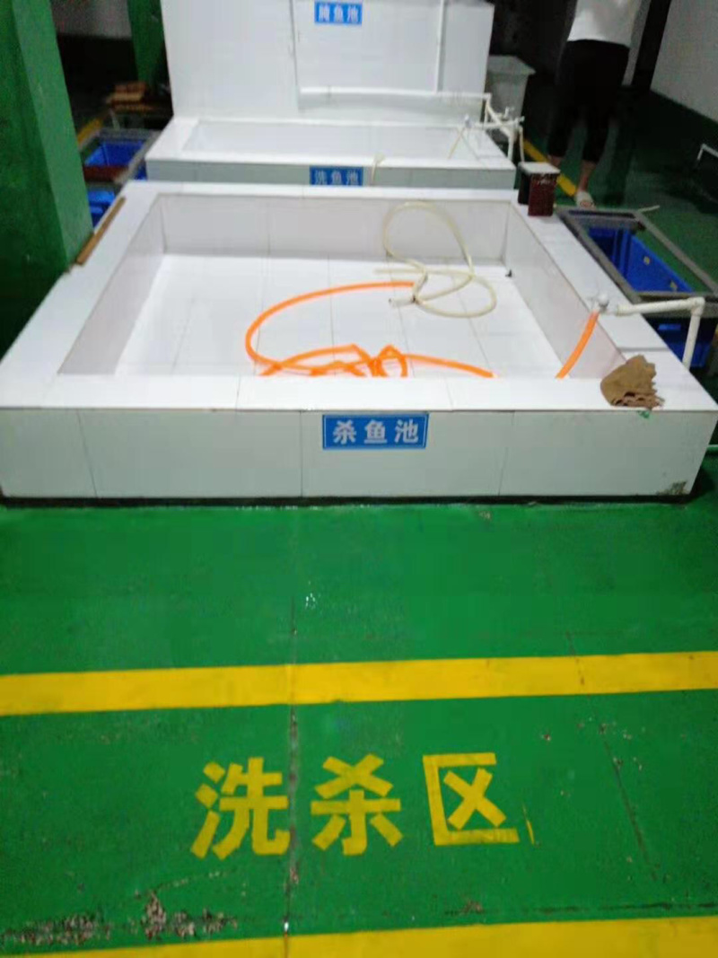 翘嘴白