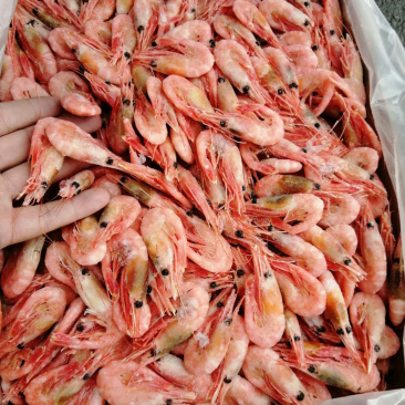 北极甜虾规格150-180