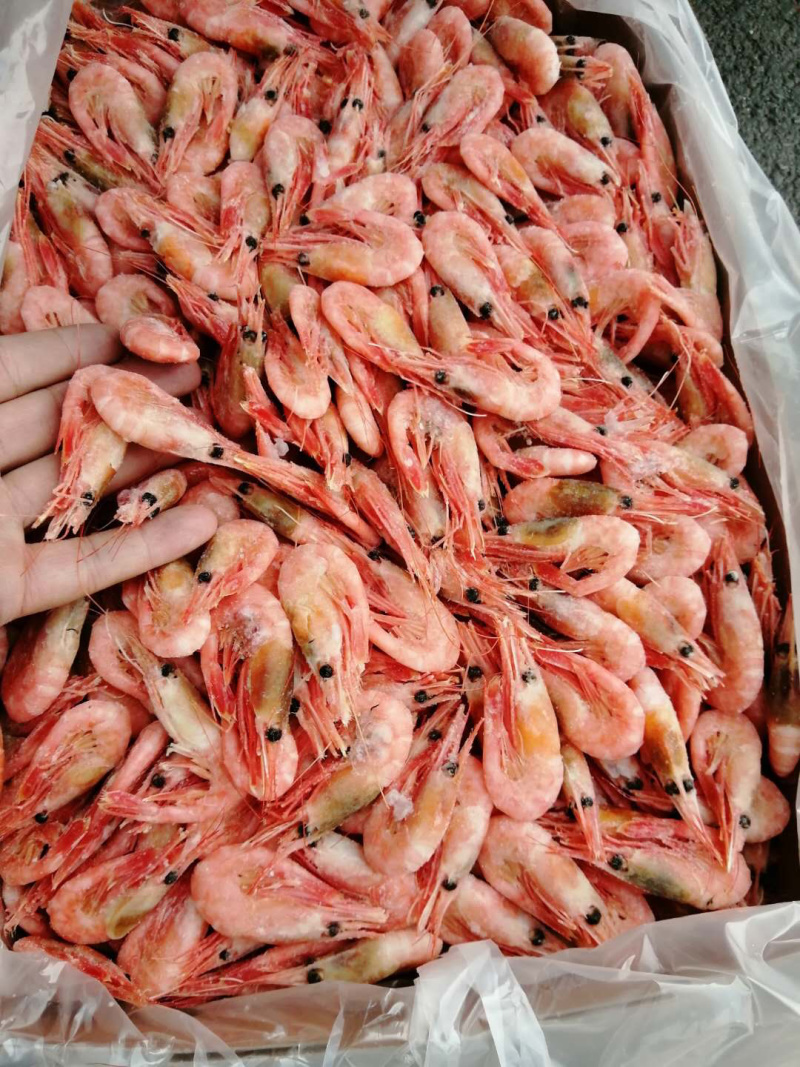 北极甜虾规格150-180
