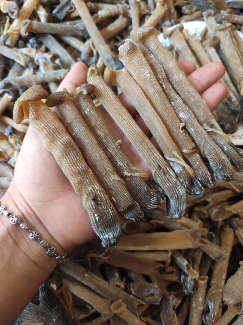 大沙虫原色大沙虫无漂白大沙虫足干厚肉