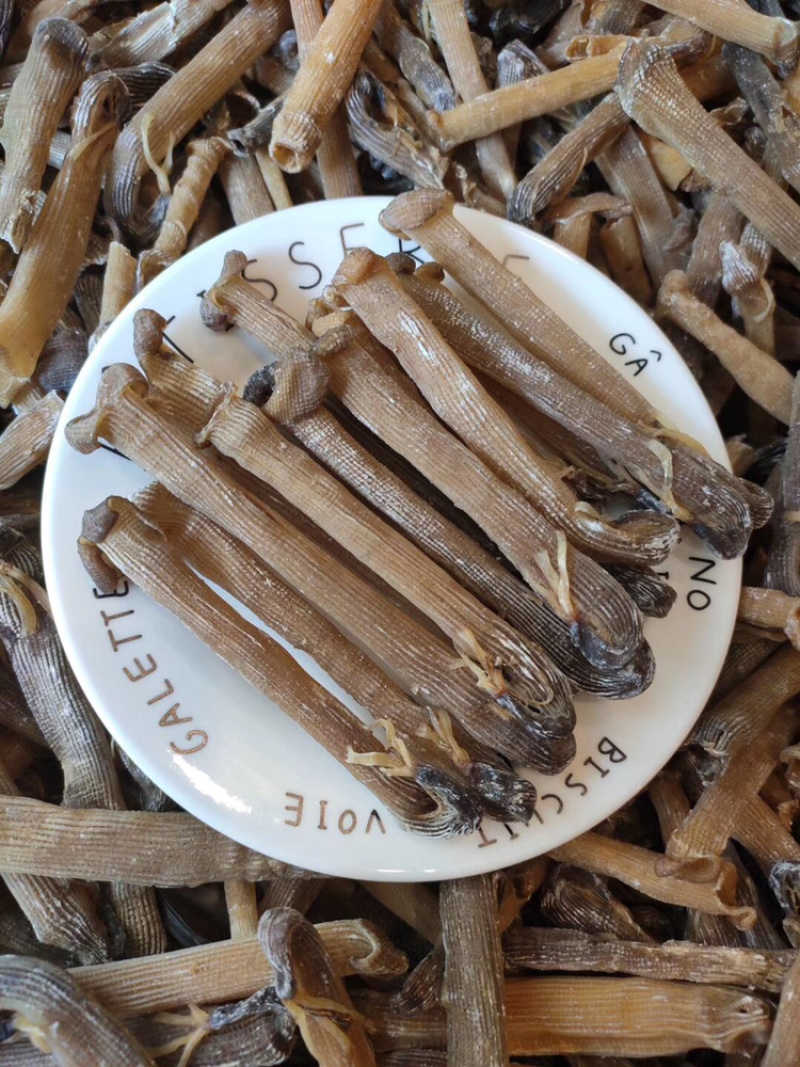 大沙虫原色大沙虫无漂白大沙虫足干厚肉