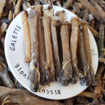 大沙虫原色大沙虫无漂白大沙虫足干厚肉