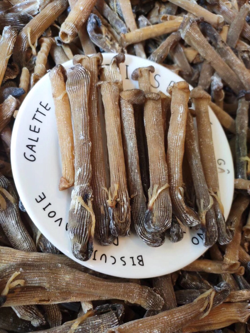大沙虫原色大沙虫无漂白大沙虫足干厚肉