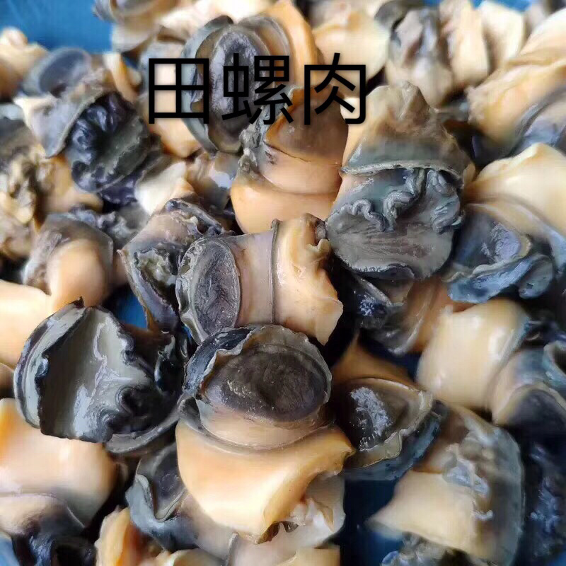 田螺肉（整车，散货均可发）今天发明天可到