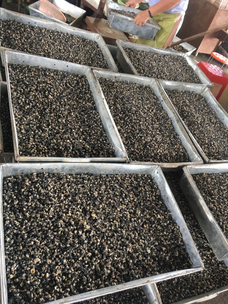 田螺肉（整车，散货均可发）今天发明天可到