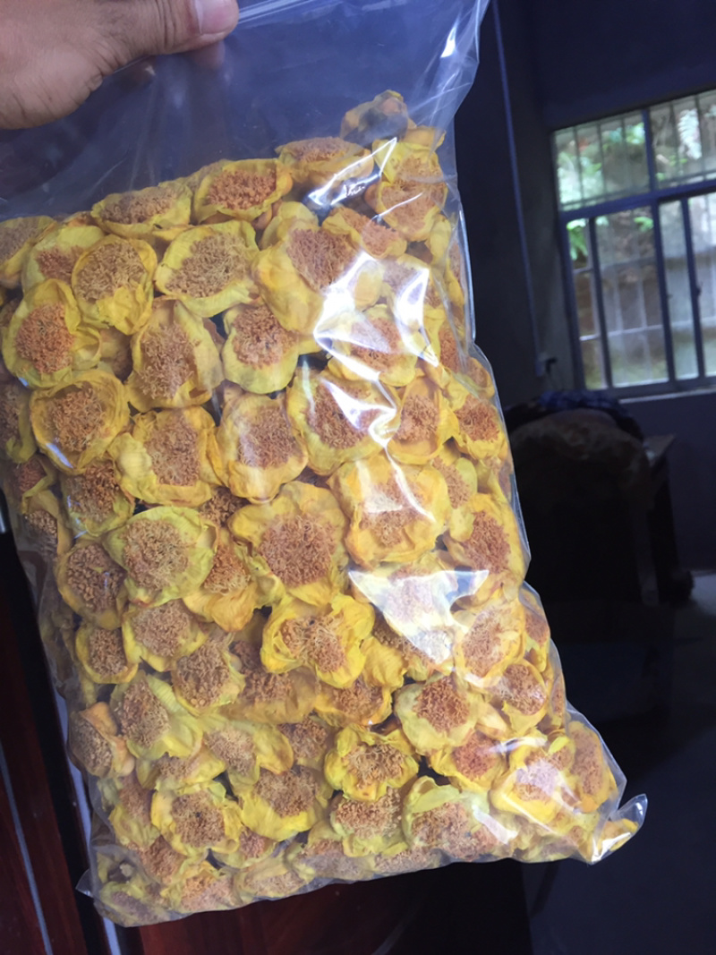 防城防普金花茶烘干花