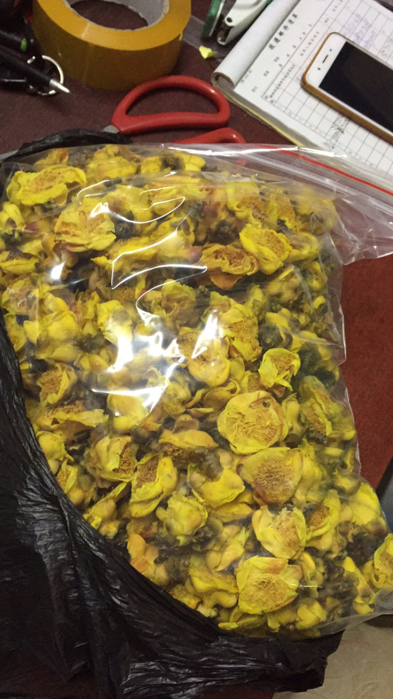 防城防普金花茶烘干花
