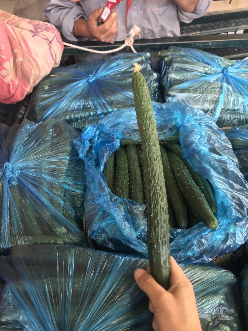 黄瓜，密刺黄瓜、顶花带刺、保证质量、诚信经营